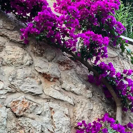 Villa Ilda Kalkan