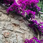 Villa Ilda Kalkan