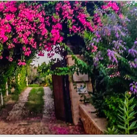 Ilda Villa Kalkan