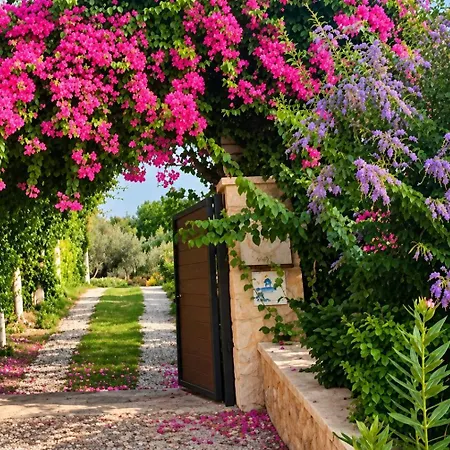 Villa Ilda - Deluxe - Kalkan,türkiye *