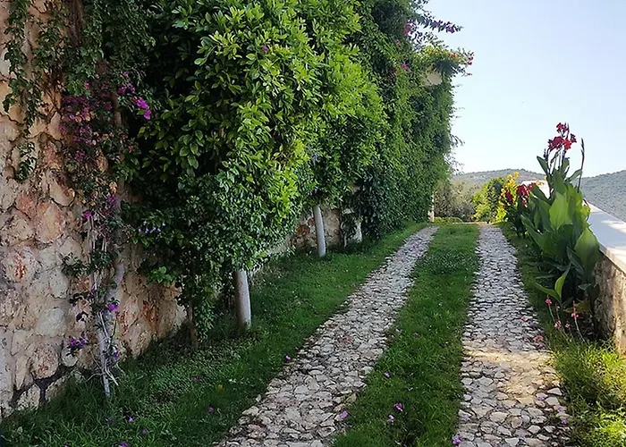 Ilda * Kalkan